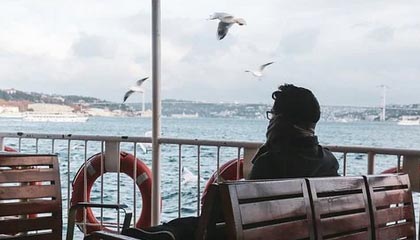 导游和陪游的界限在哪